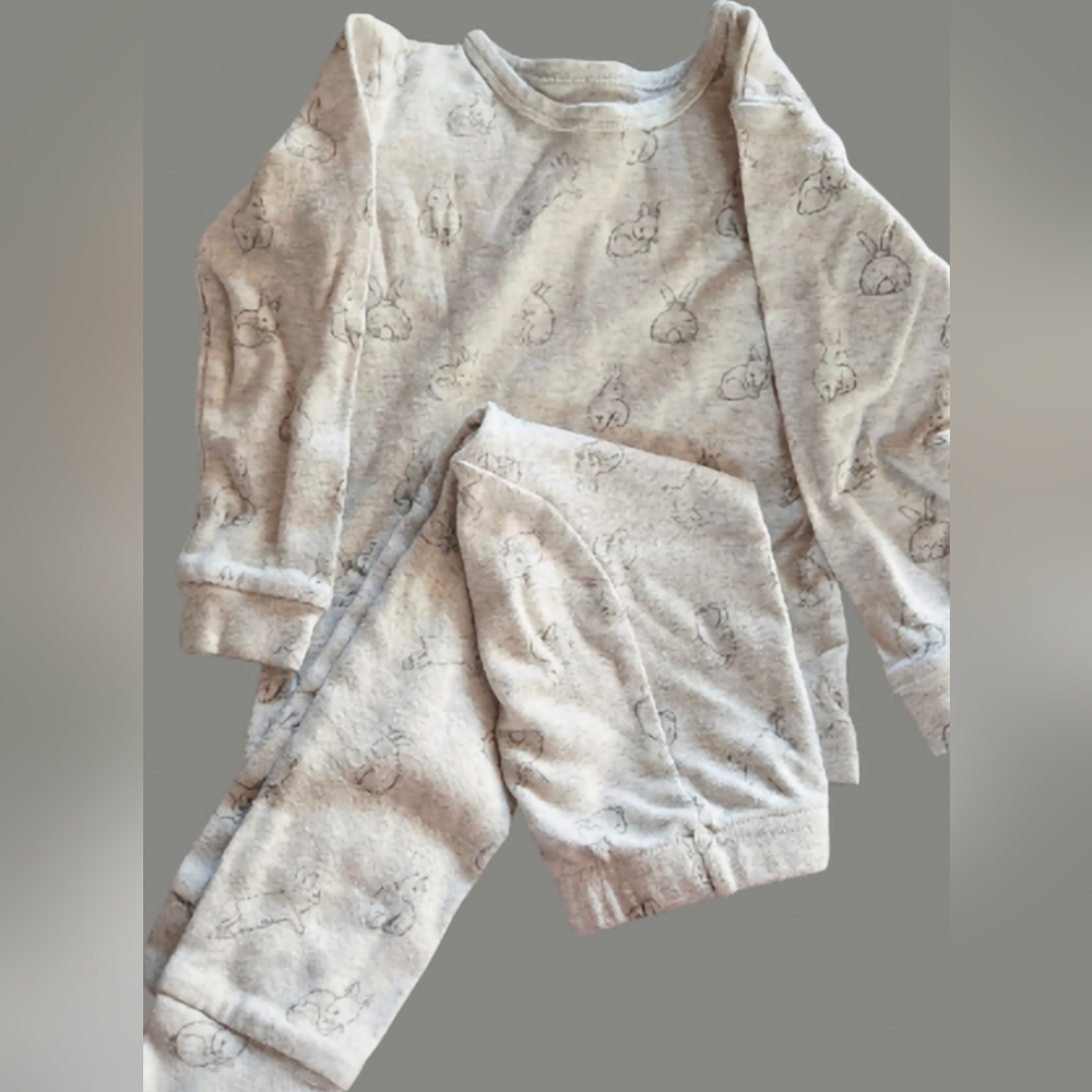 Owlivia Bunny Organic 2 Piece PJ Set-Size 3T EUC